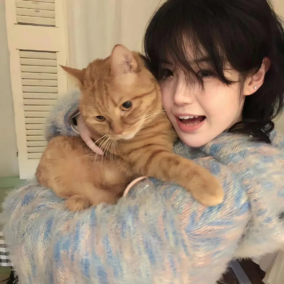 七合圣石战记：银月之翼