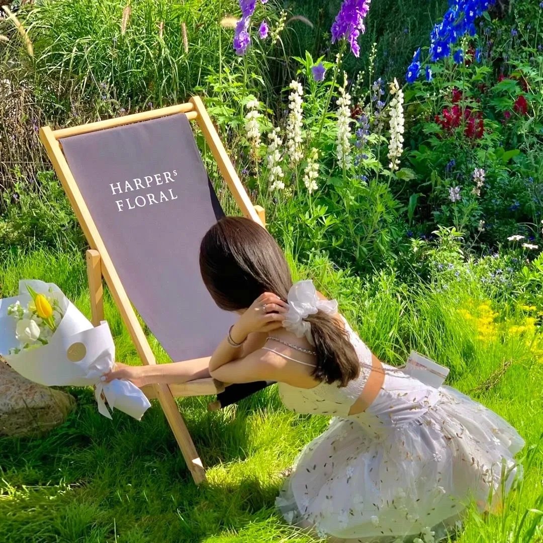 烽火红颜拳未老